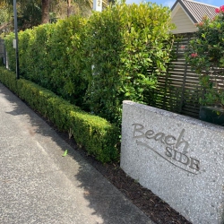 Hedge Trimming