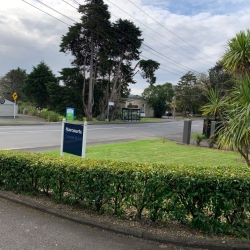 Hedge Trimming