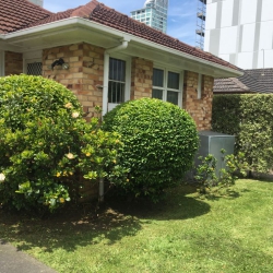 Hedge Trimming