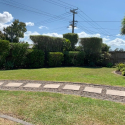 Hedge Trimming